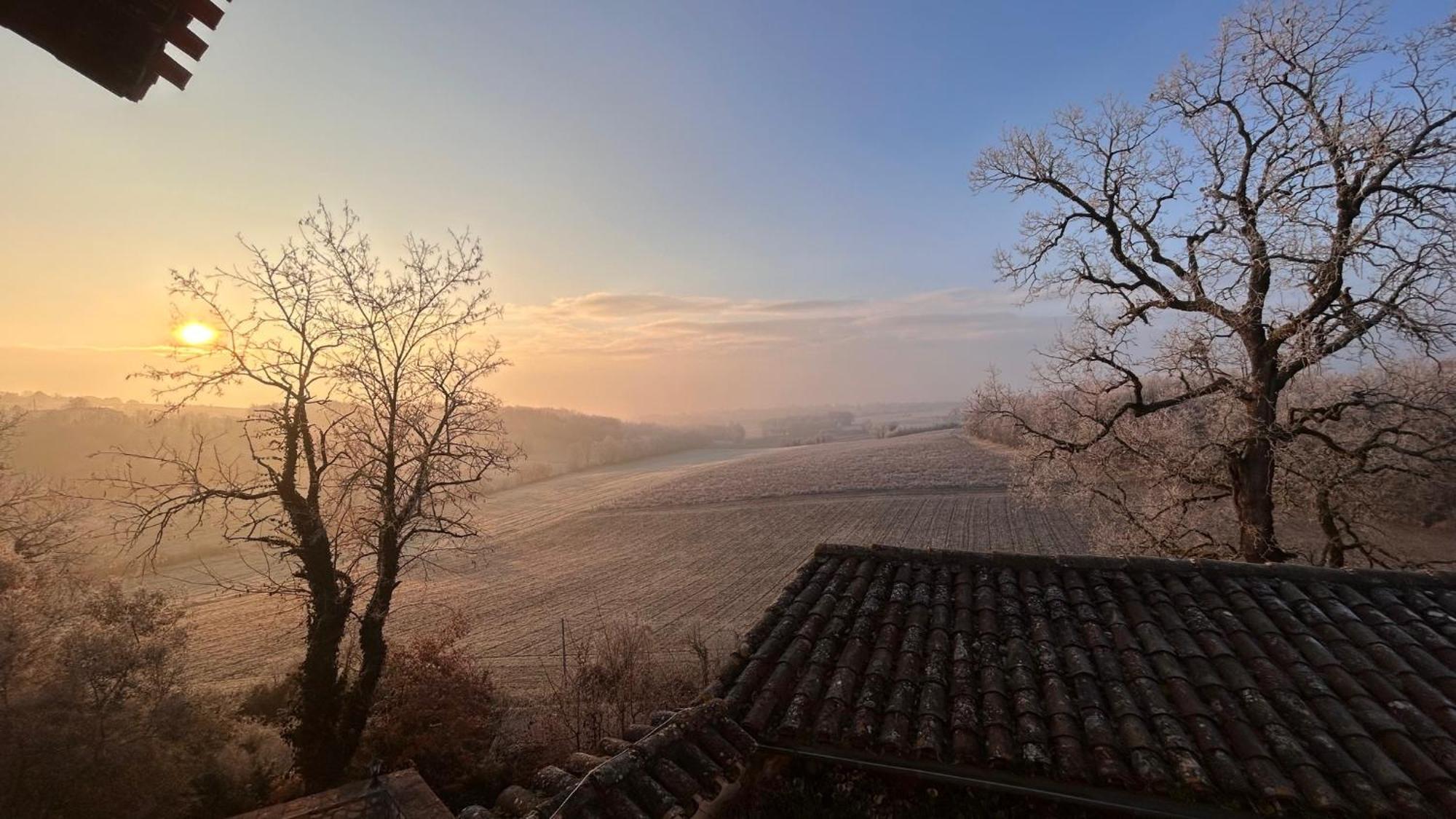 Chambres D'Hotes Dans Un Chateau Au Coeur De La Toscane Occitane Albi-Cordes-Rabastens Senouillac Kültér fotó